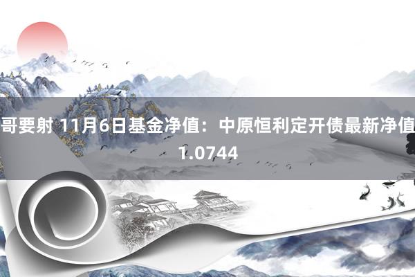 哥要射 11月6日基金净值：中原恒利定开债最新净值1.0744