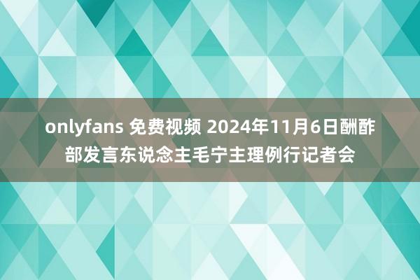 onlyfans 免费视频 2024年11月6日酬酢部发言东说念主毛宁主理例行记者会