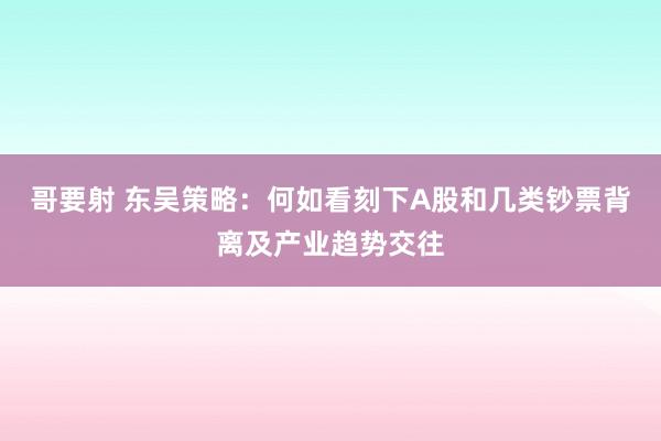 哥要射 东吴策略：何如看刻下A股和几类钞票背离及产业趋势交往