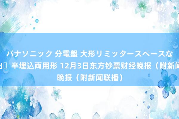 パナソニック 分電盤 大形リミッタースペースなし 露出・半埋込両用形 12月3日东方钞票财经晚报（附新闻联播）