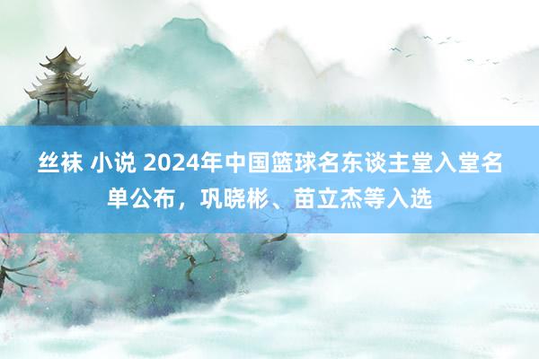 丝袜 小说 2024年中国篮球名东谈主堂入堂名单公布，巩晓彬、苗立杰等入选