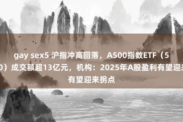 gay sex5 沪指冲高回落，A500指数ETF（560610）成交额超13亿元，机构：2025年A股盈利有望迎来拐点