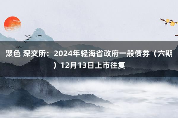 聚色 深交所：2024年轻海省政府一般债券（六期）12月13日上市往复