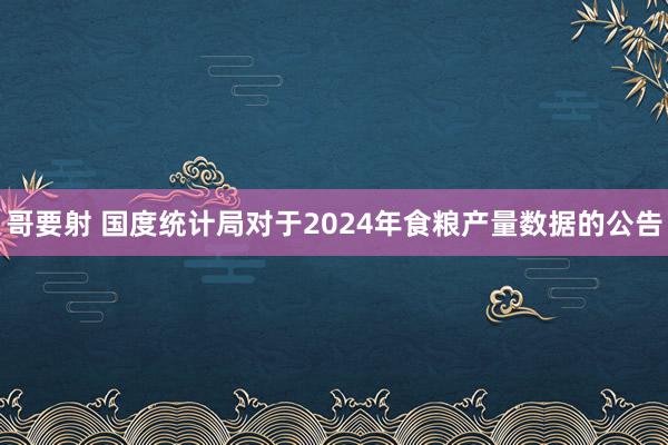 哥要射 国度统计局对于2024年食粮产量数据的公告