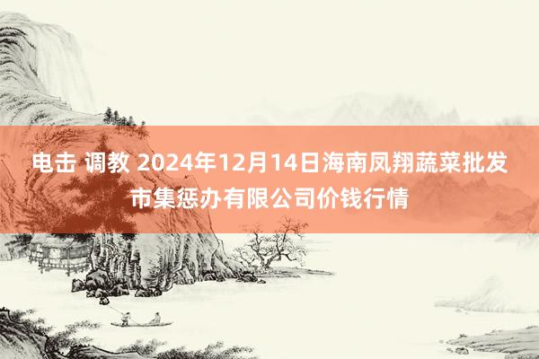 电击 调教 2024年12月14日海南凤翔蔬菜批发市集惩办有限公司价钱行情