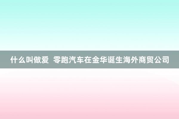 什么叫做爱  零跑汽车在金华诞生海外商贸公司