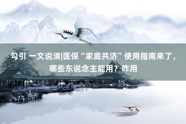 勾引 一文说清|医保“家庭共济”使用指南来了，哪些东说念主能用？咋用