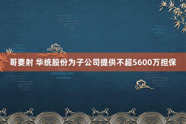 哥要射 华统股份为子公司提供不超5600万担保