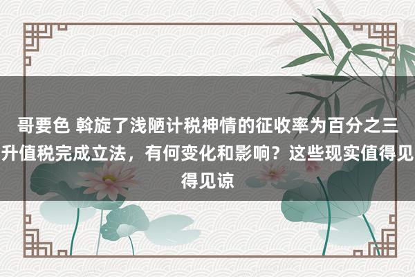 哥要色 斡旋了浅陋计税神情的征收率为百分之三！升值税完成立法，有何变化和影响？这些现实值得见谅