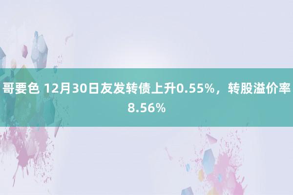 哥要色 12月30日友发转债上升0.55%，转股溢价率8.56%