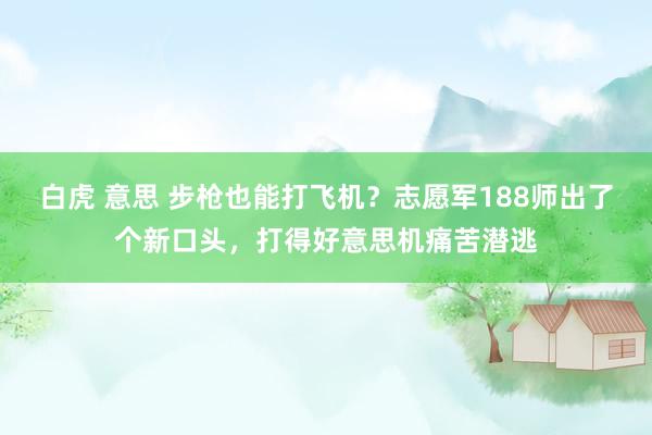 白虎 意思 步枪也能打飞机？志愿军188师出了个新口头，打得好意思机痛苦潜逃