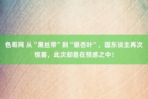 色哥网 从“黑丝带”到“银杏叶”，国东谈主再次惊喜，此次却是在预感之中！