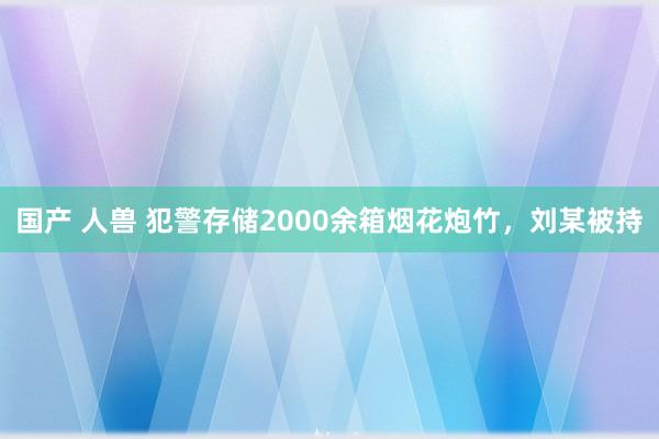 国产 人兽 犯警存储2000余箱烟花炮竹，刘某被持