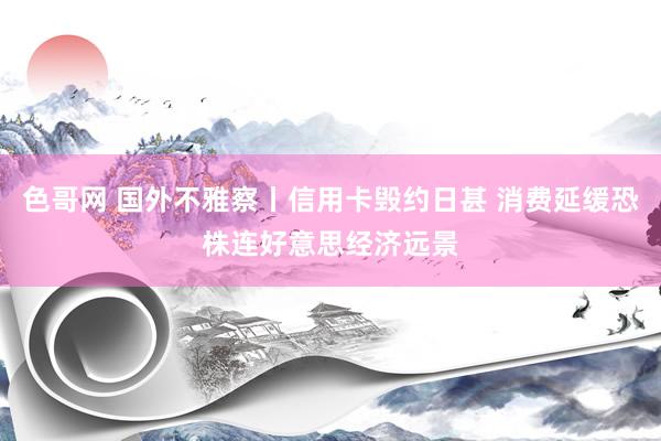 色哥网 国外不雅察丨信用卡毁约日甚 消费延缓恐株连好意思经济远景