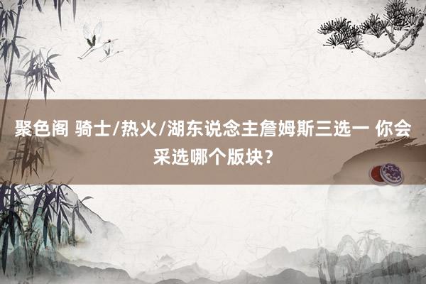 聚色阁 骑士/热火/湖东说念主詹姆斯三选一 你会采选哪个版块？