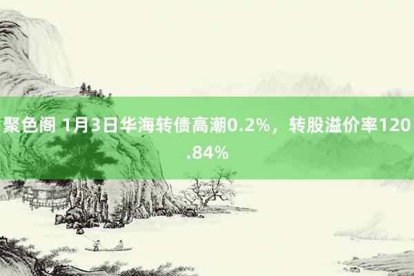 聚色阁 1月3日华海转债高潮0.2%，转股溢价率120.84%