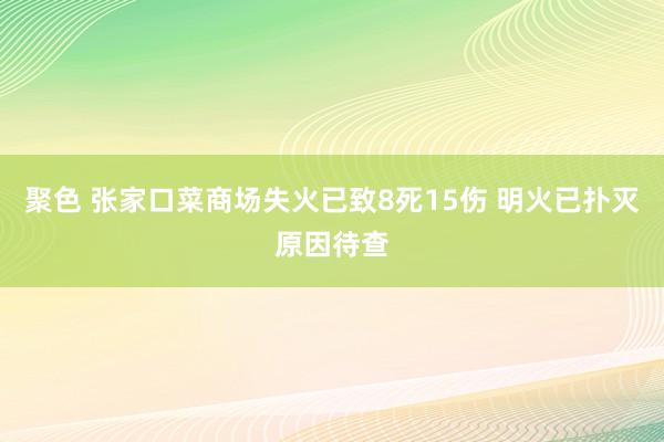 聚色 张家口菜商场失火已致8死15伤 明火已扑灭原因待查