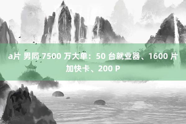 a片 男同 7500 万大单：50 台就业器、1600 片加快卡、200 P