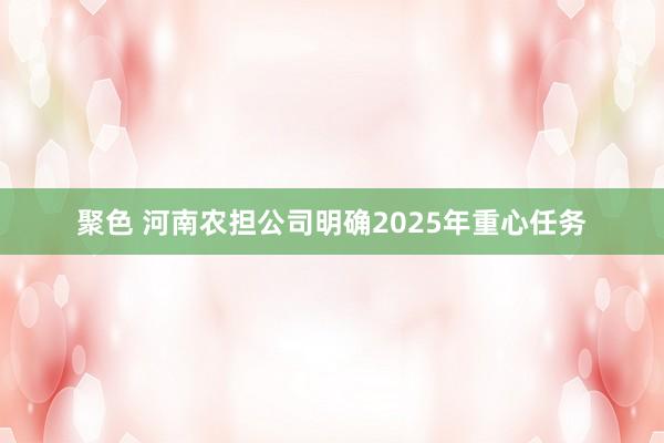 聚色 河南农担公司明确2025年重心任务