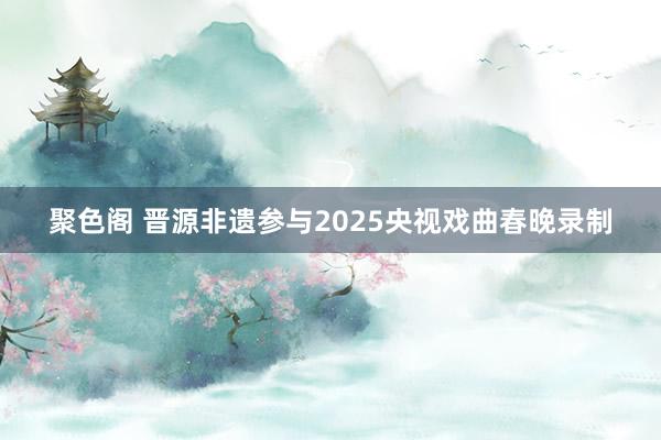 聚色阁 晋源非遗参与2025央视戏曲春晚录制