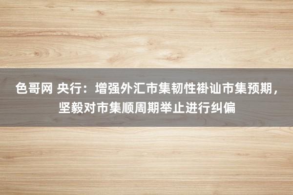 色哥网 央行：增强外汇市集韧性褂讪市集预期，坚毅对市集顺周期举止进行纠偏