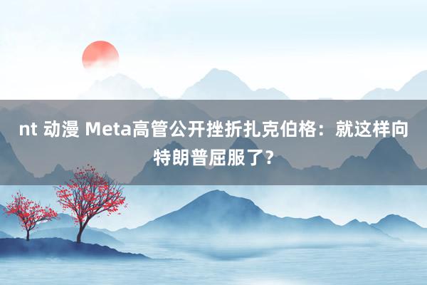 nt 动漫 Meta高管公开挫折扎克伯格：就这样向特朗普屈服了？