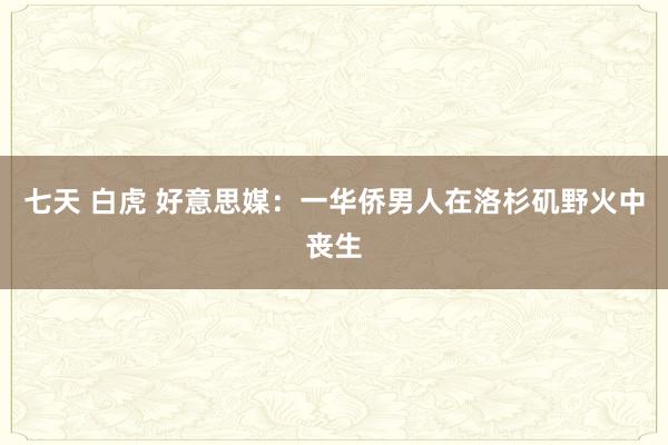 七天 白虎 好意思媒：一华侨男人在洛杉矶野火中丧生