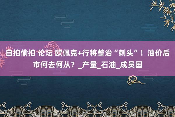 自拍偷拍 论坛 欧佩克+行将整治“刺头”！油价后市何去何从？_产量_石油_成员国